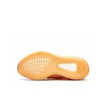 adidas Yeezy Boost 350 V2 Mono Clay 2